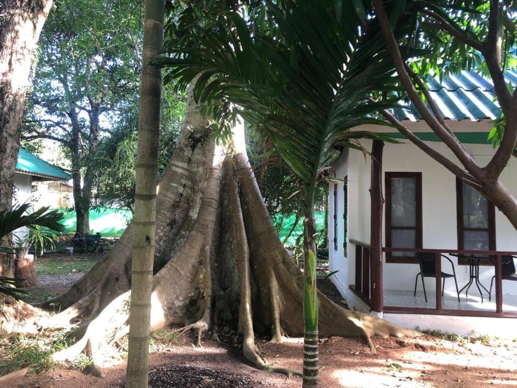 Tropical Paradise Leelawadee Resort Koh Chang Luaran gambar